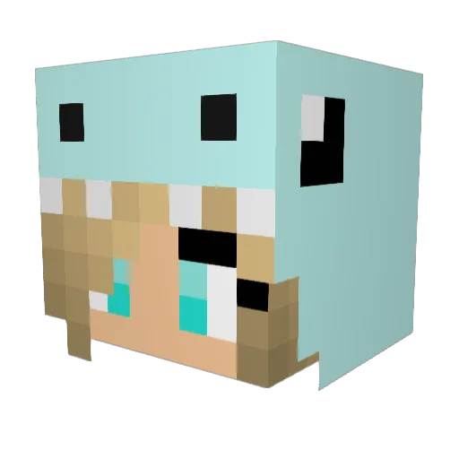 linny809 Minecraft avatar head, 3D render