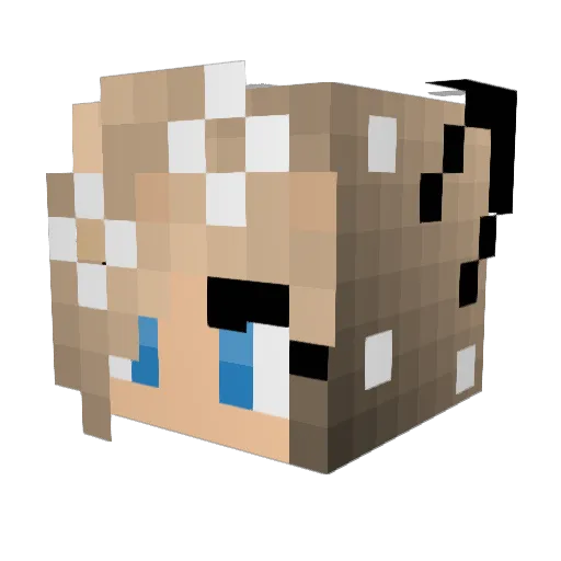 linseil Minecraft avatar head, 3D render