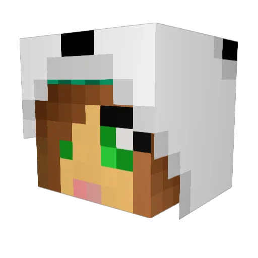 lintsao Minecraft avatar head, 3D render