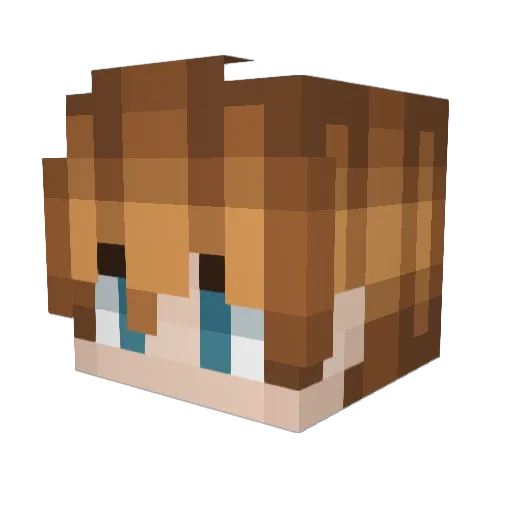 linuszii3110 Minecraft avatar head, 3D render