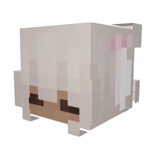 linvdsay Minecraft avatar head, 3D render