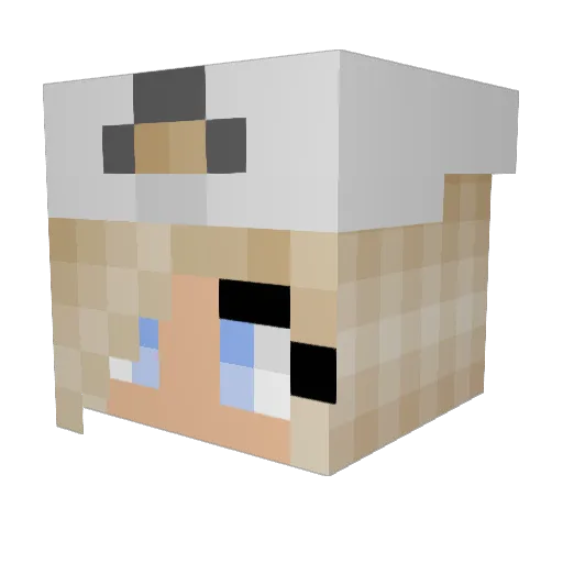 lioncub131 Minecraft avatar head, 3D render