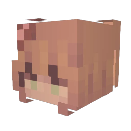 liongirl0807 Minecraft avatar head, 3D render