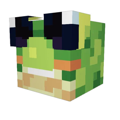 lionpro27 Minecraft avatar head, 3D render