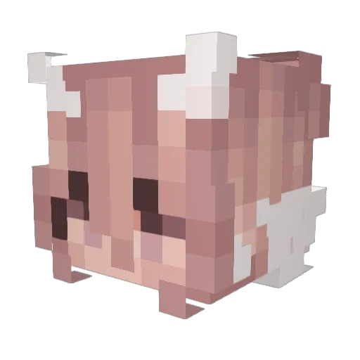 liorlay Minecraft avatar head, 3D render