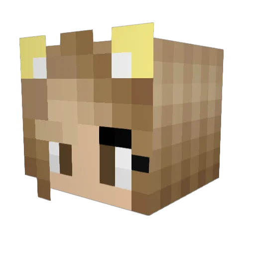 lipanconjuring94 Minecraft avatar head, 3D render