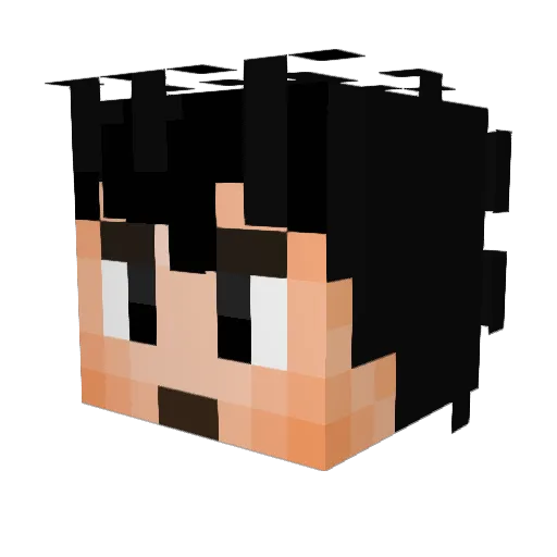 lipebs Minecraft avatar head, 3D render