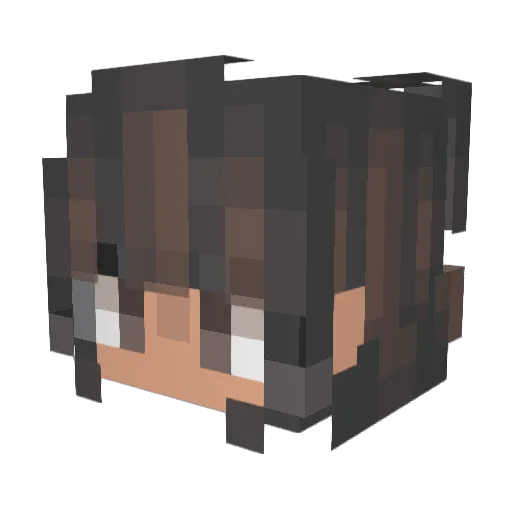 lipecraft345 Minecraft avatar head, 3D render