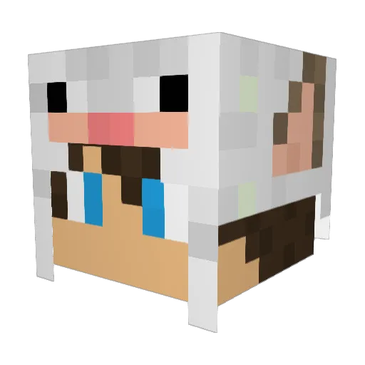 lipezxr_ Minecraft avatar head, 3D render