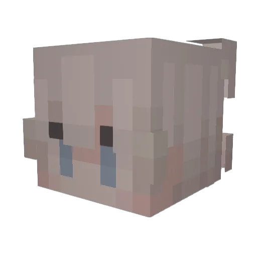 lipn Minecraft avatar head, 3D render