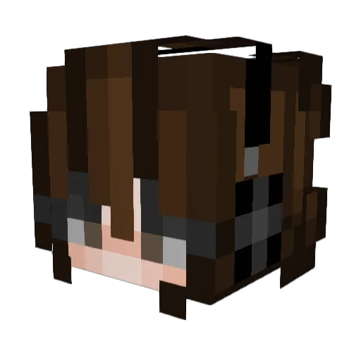 lippyncott Minecraft avatar head, 3D render
