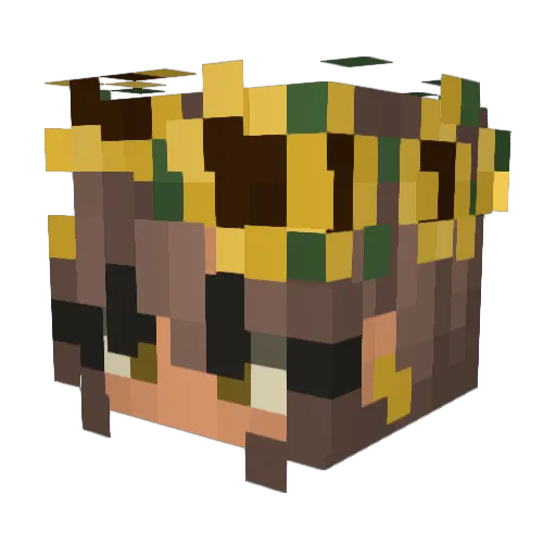 liptoes Minecraft avatar head, 3D render