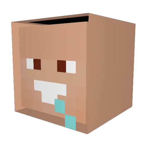 liptonek667 Minecraft avatar head, 3D render