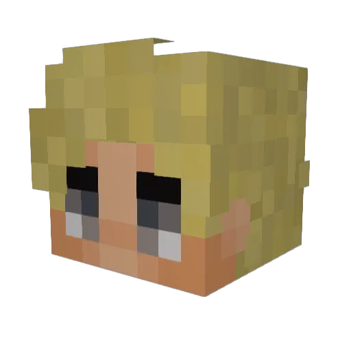 liptonicetea_ Minecraft avatar head, 3D render