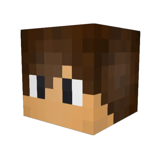 liquedfire440 Minecraft avatar head, 3D render