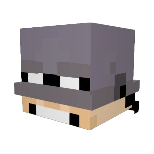 liquiddiflin Minecraft avatar head, 3D render