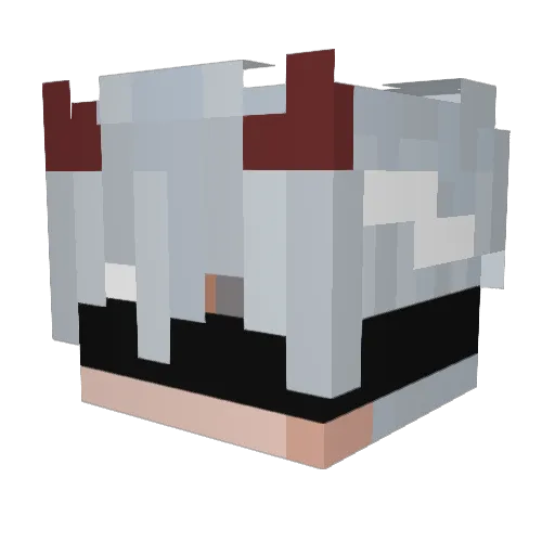 liquidgnome Minecraft avatar head, 3D render