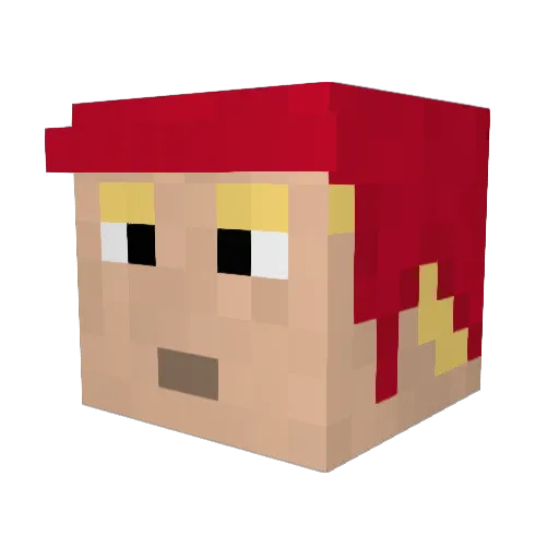 liquidindian Minecraft avatar head, 3D render