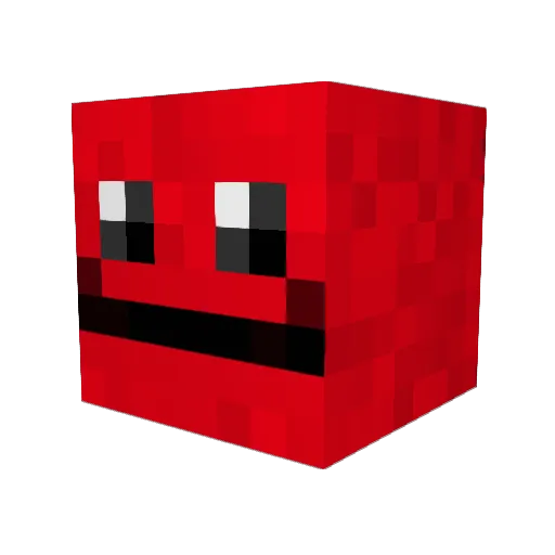 liquidpuppy Minecraft avatar head, 3D render