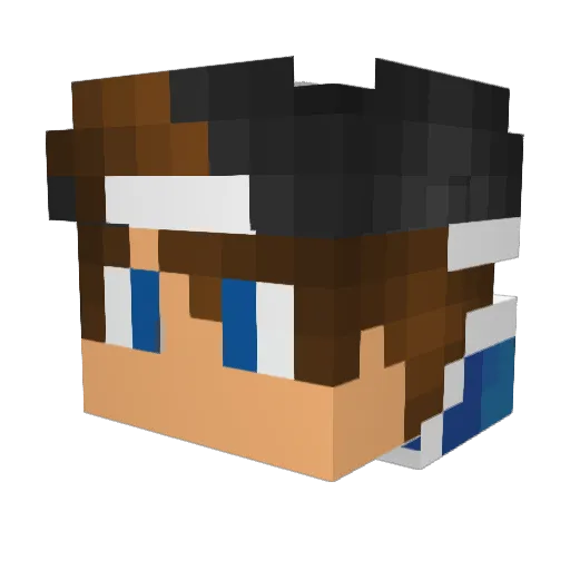 liquidwang Minecraft avatar head, 3D render
