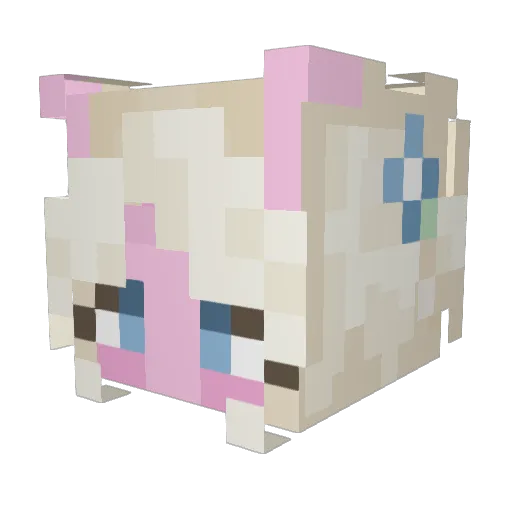 liquone Minecraft avatar head, 3D render