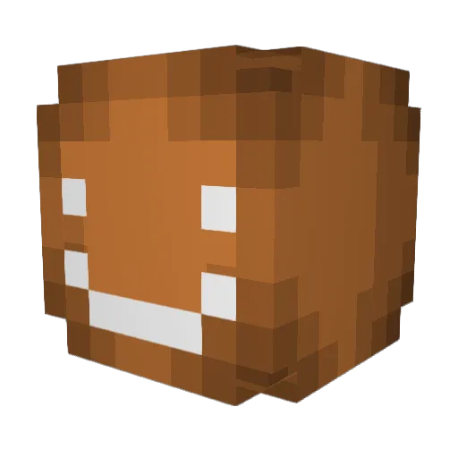 liqwadd Minecraft avatar head, 3D render
