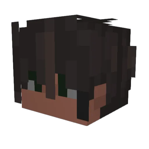 liran5556 Minecraft avatar head, 3D render