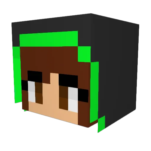 lisaa2706 Minecraft avatar head, 3D render