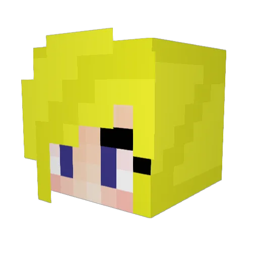 lisaallen87 Minecraft avatar head, 3D render
