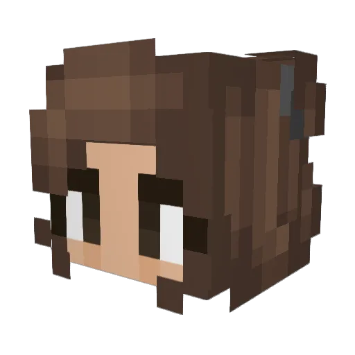 lisahfm Minecraft avatar head, 3D render