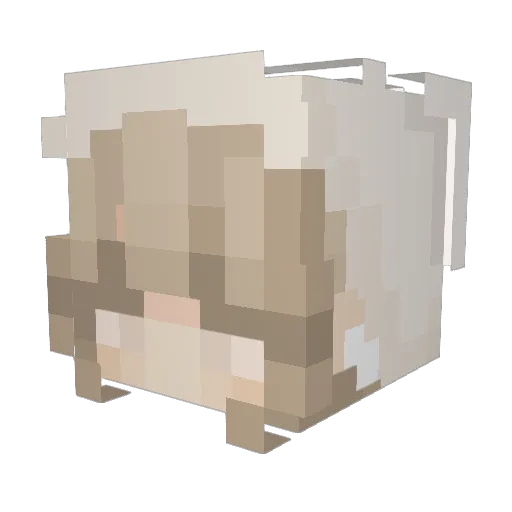 lisalizzard Minecraft avatar head, 3D render