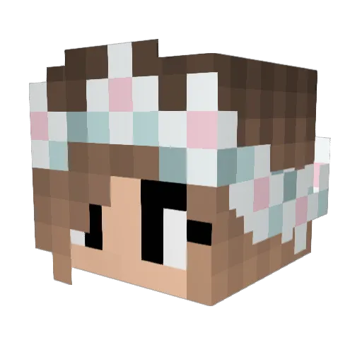 lisaminecraft20 Minecraft avatar head, 3D render