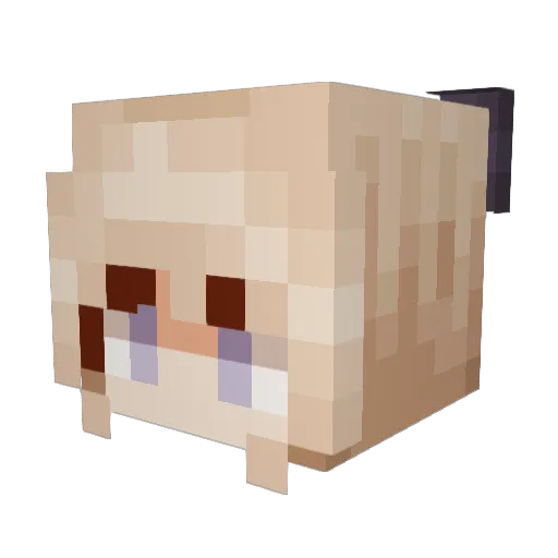 lisdbs_ Minecraft avatar head, 3D render