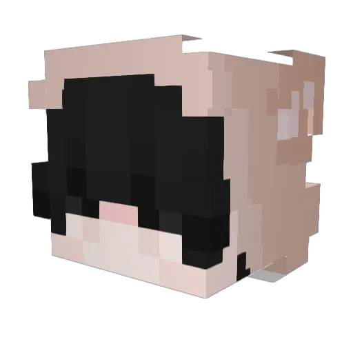 liskomnatny Minecraft avatar head, 3D render