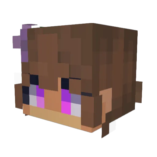 lisokue Minecraft avatar head, 3D render