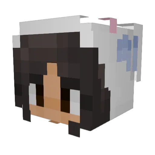 lispers20 Minecraft avatar head, 3D render