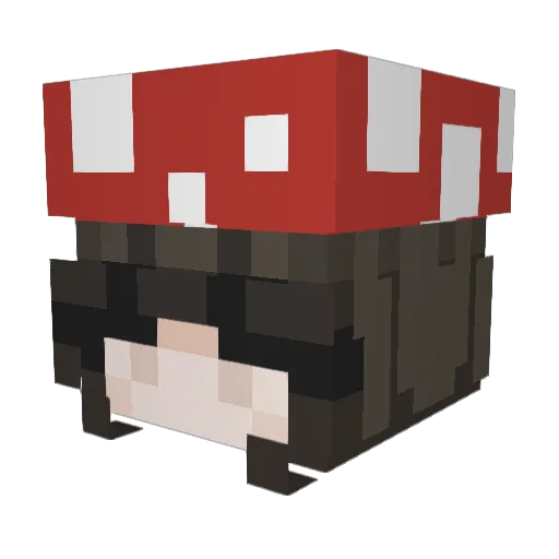 lissa21 Minecraft avatar head, 3D render
