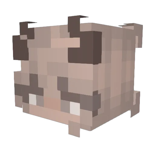 lissllama Minecraft avatar head, 3D render