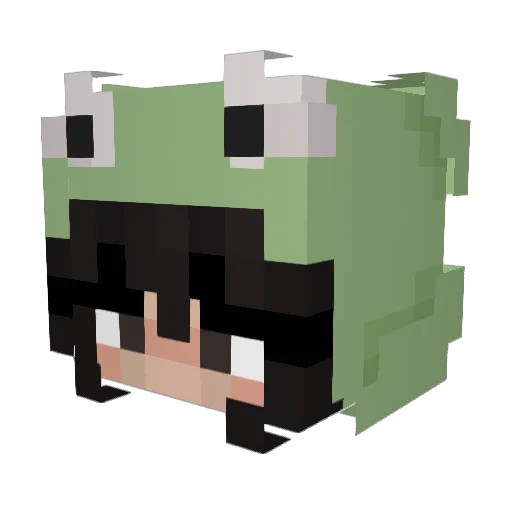 lissygrass Minecraft avatar head, 3D render