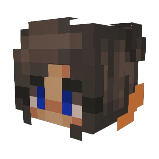 litbooks Minecraft avatar head, 3D render