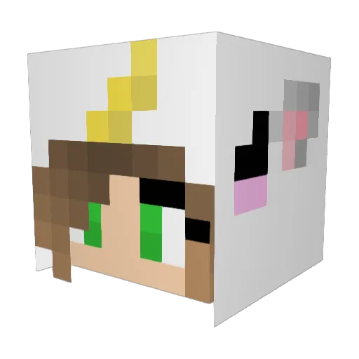litcandyunicorn Minecraft avatar head, 3D render