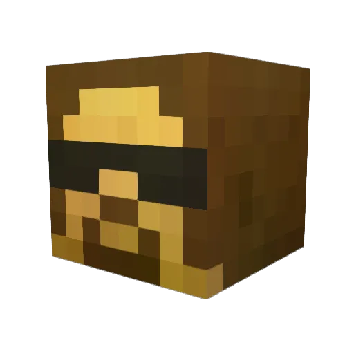 litefandango Minecraft avatar head, 3D render