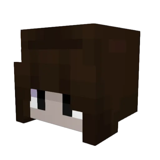 literal_shrimp Minecraft avatar head, 3D render