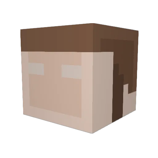 literallyfuhrer Minecraft avatar head, 3D render