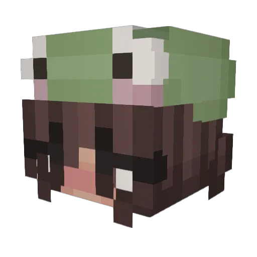 literallyloca Minecraft avatar head, 3D render