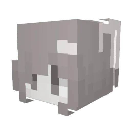 litlpaw Minecraft avatar head, 3D render