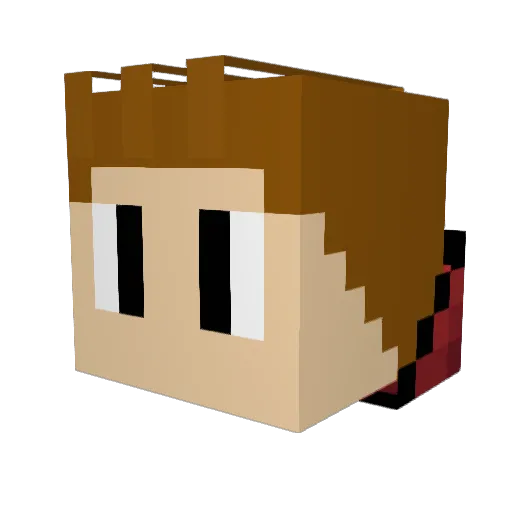 litongo Minecraft avatar head, 3D render