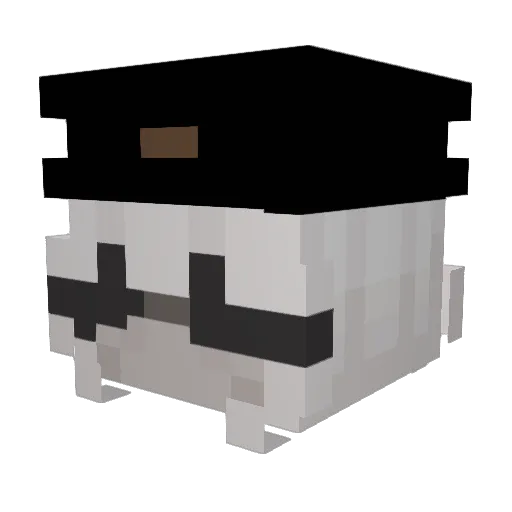 litte_n11gg3er Minecraft avatar head, 3D render