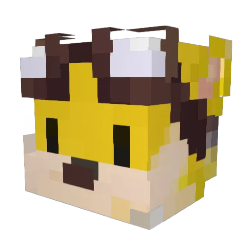 litteee Minecraft avatar head, 3D render