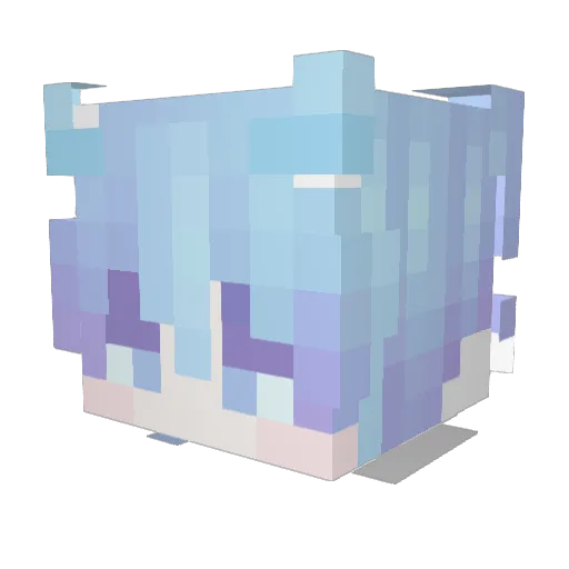 littlDolphin Minecraft avatar head, 3D render